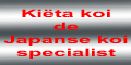http://www.kietakoi.nl