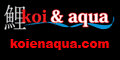 http://www.koienaqua.com